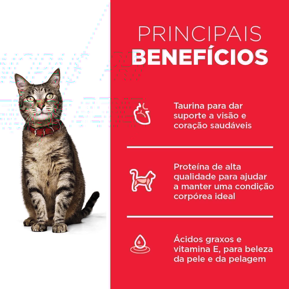 image_2d388843-6836-40ec-b008-b366d8ecdf64