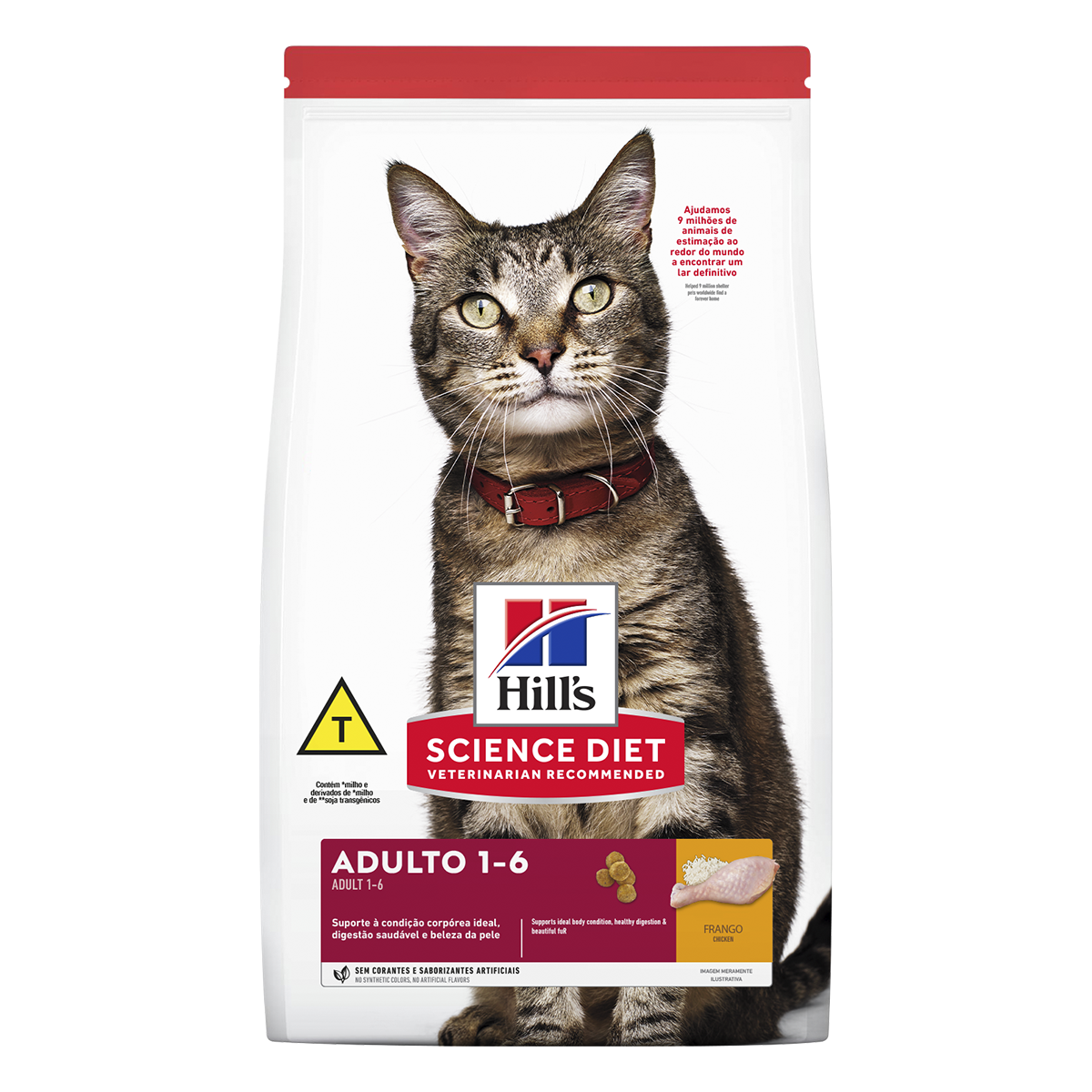 image_7e4ebc0b-dd58-4ee3-ac2d-6682a7c27e98