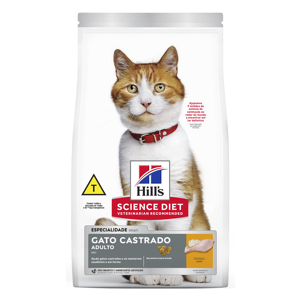 image_b0831a4e-18f7-41dd-8427-5b161b829b89