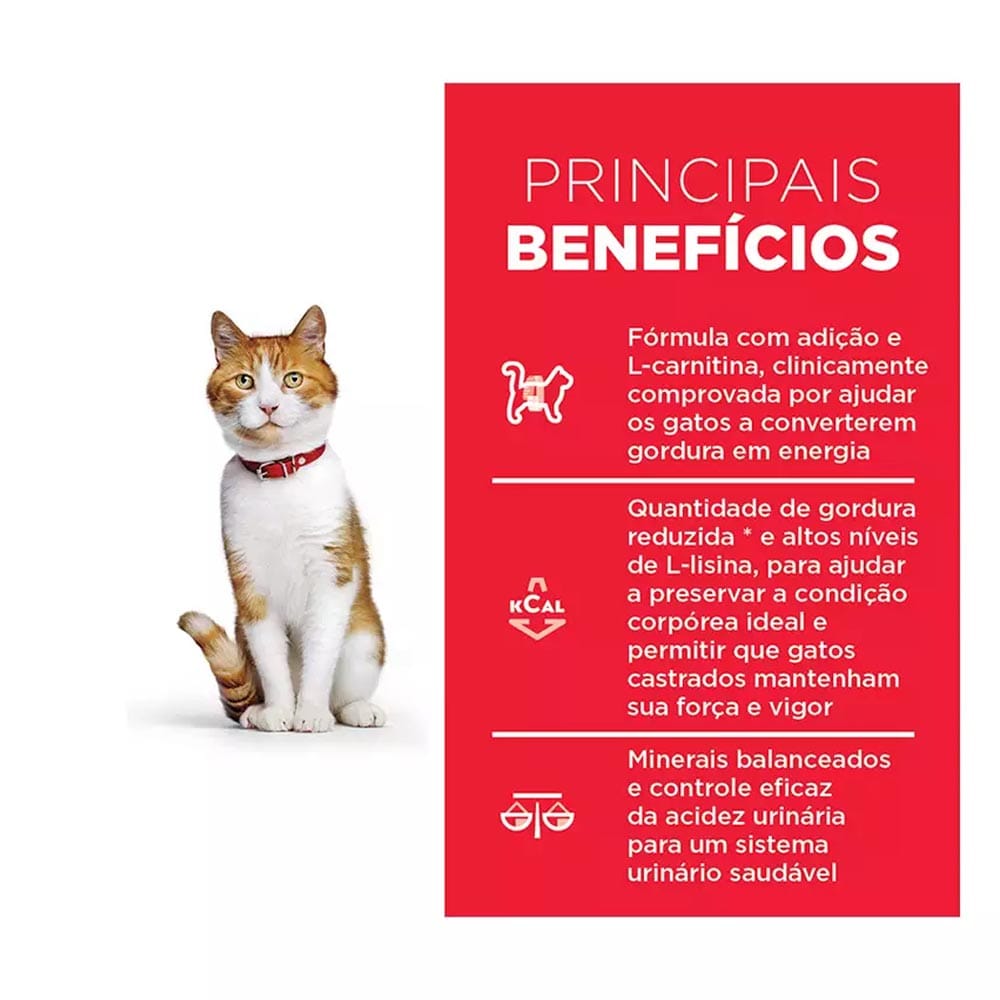 image_fe120311-c2f1-4611-99a6-569d075eb010