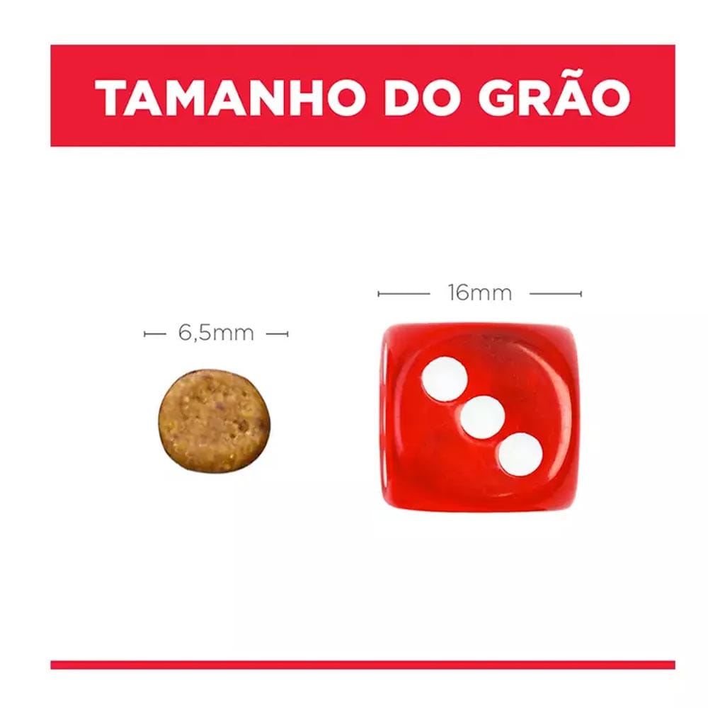 image_b7f6da36-ff20-4c98-9f39-7ccdd8b9091d