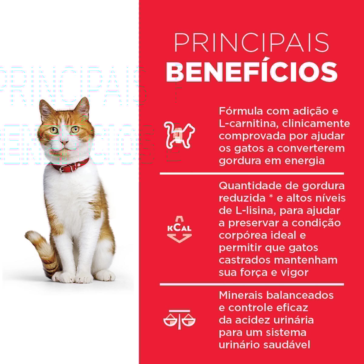 image_6f9d0d32-d87a-4ac1-8003-d808608523a0