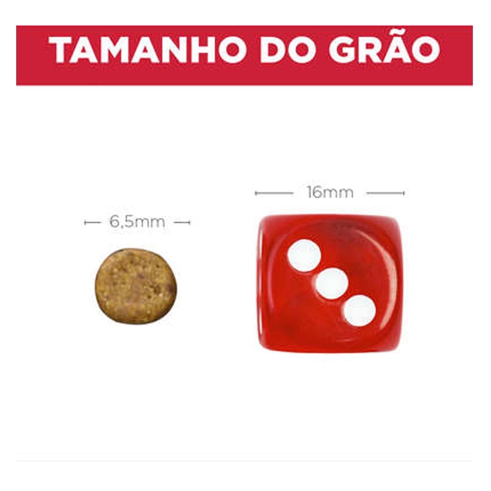 image_1988f12a-39f4-4521-b84b-00724a386c46