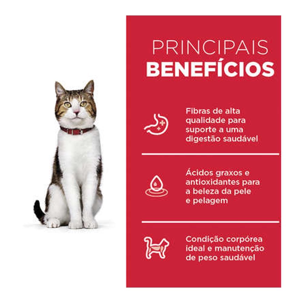 image_87d73d09-3e7b-43f4-80d2-458055de9cbf