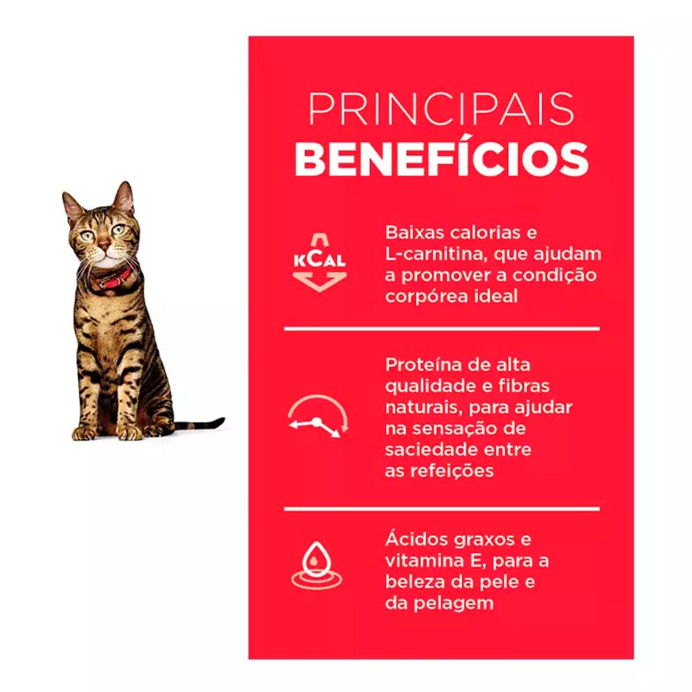 image_383e23f2-46fd-4a85-834d-fc482fca6a31