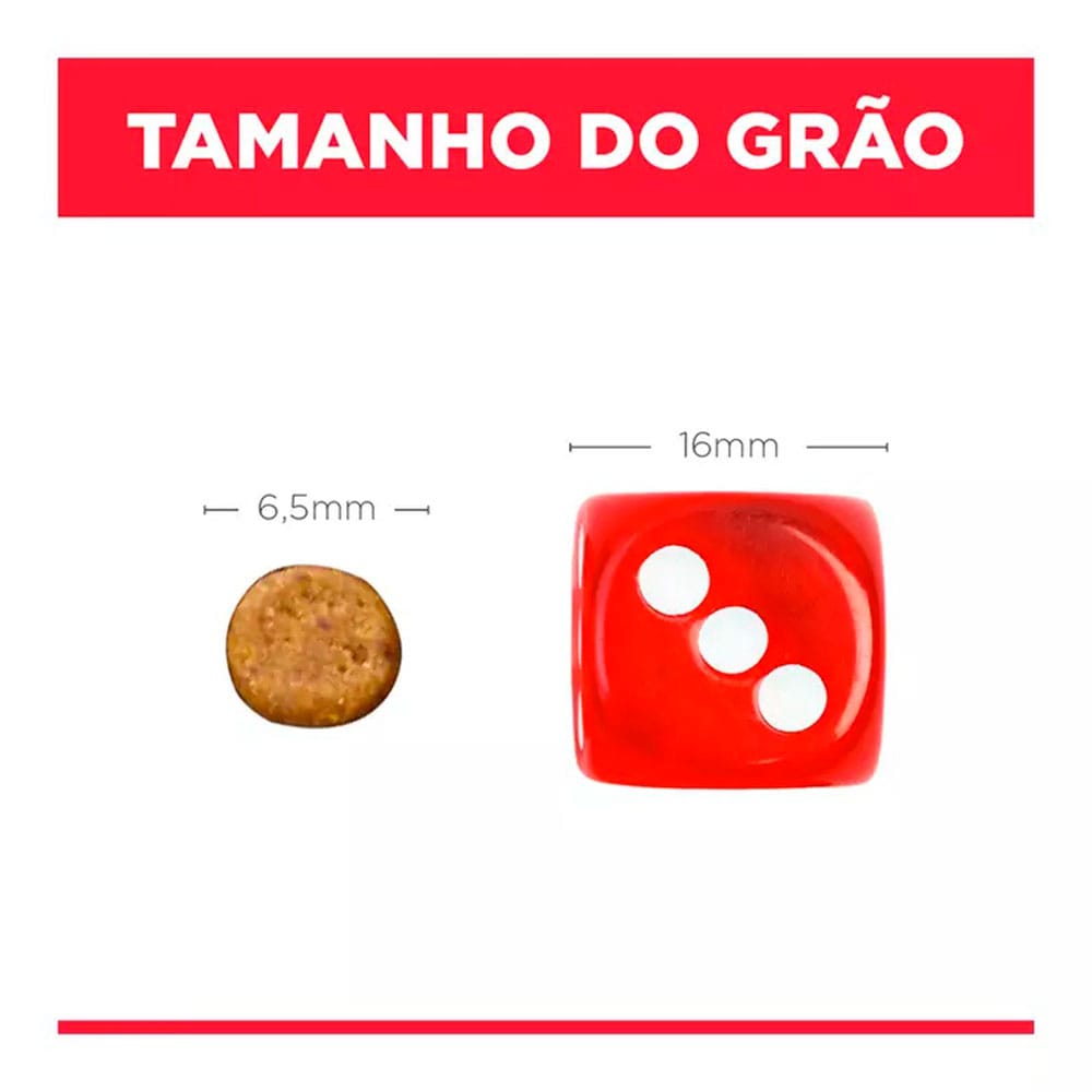 image_e3059ac5-e24f-432d-bb11-4fda1ea65be2