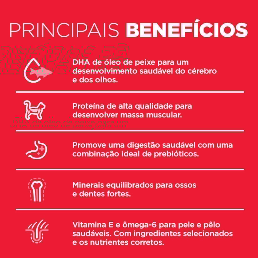 Product main image - 77312ed4-729e-48e7-8f10-fad7a9752b17