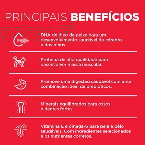 image_c43a47a4-2c53-4e28-bc66-3df8217387af