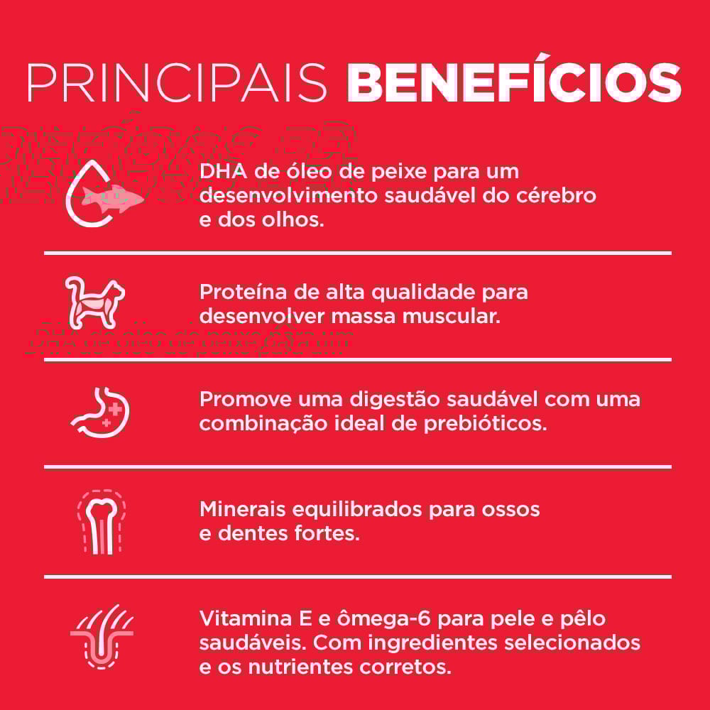 image_ae2279d4-a7af-42e3-a851-107bd997c0b8