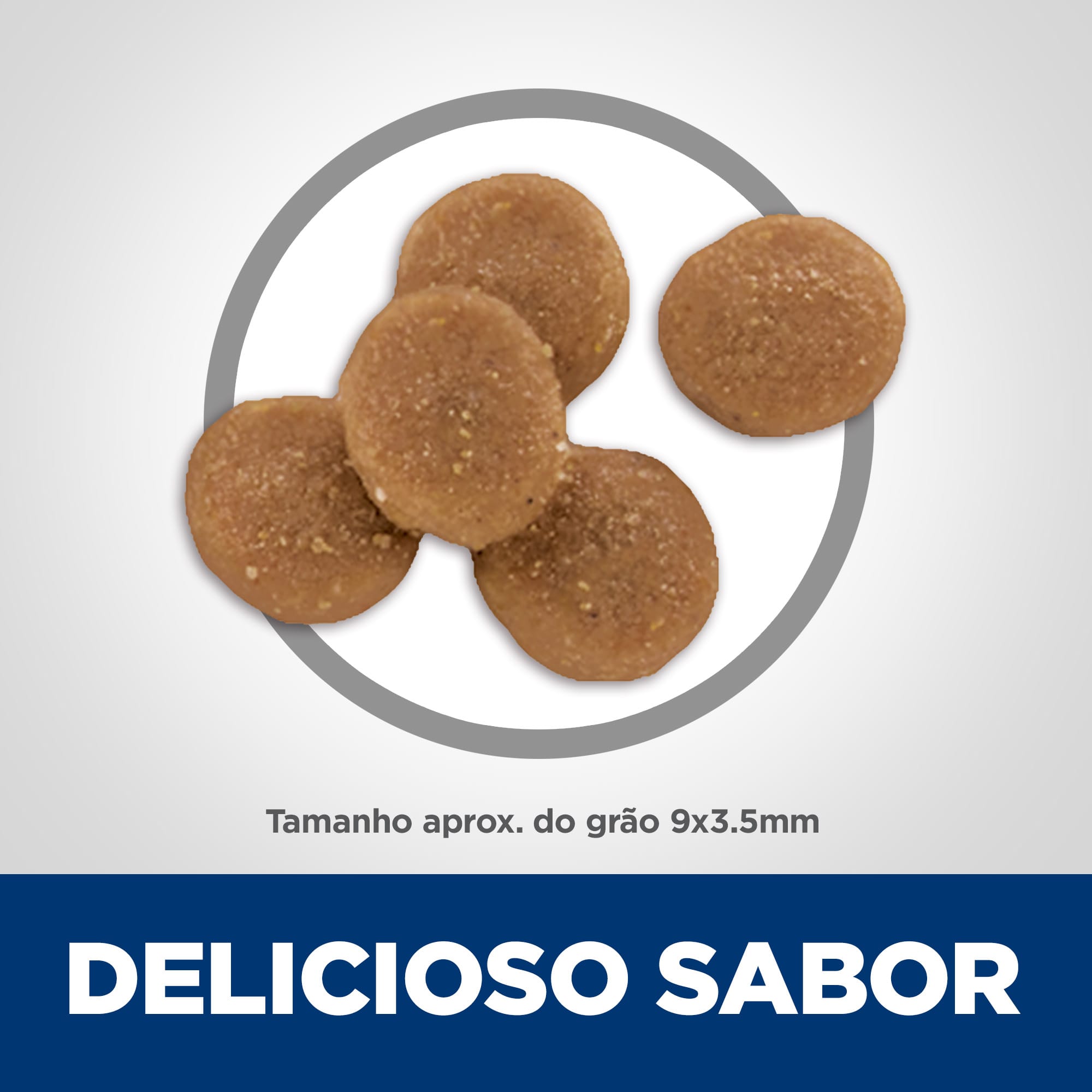 image_c6d912c3-f8ac-4f14-b2d6-93f49b8c37eb