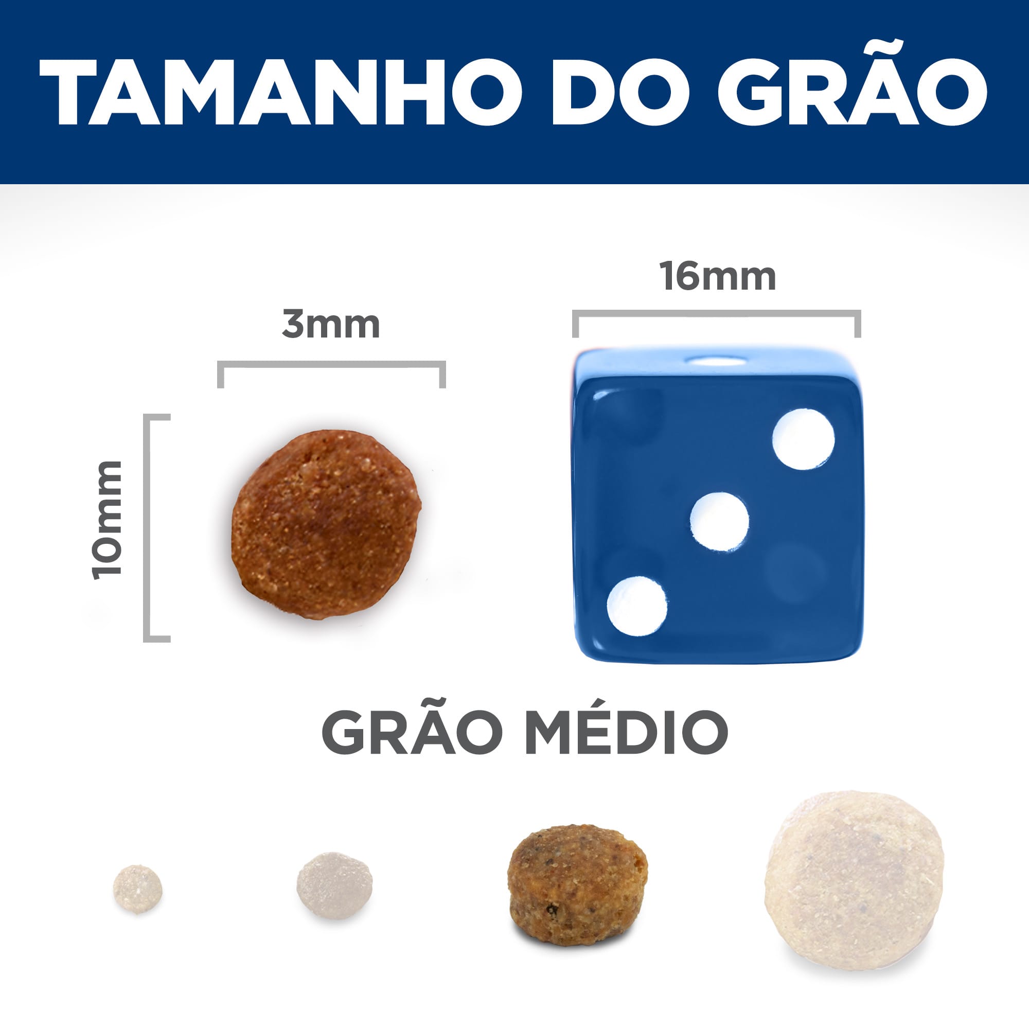 image_ec0f3436-14e3-4aee-a772-0ae8c7e94bfb