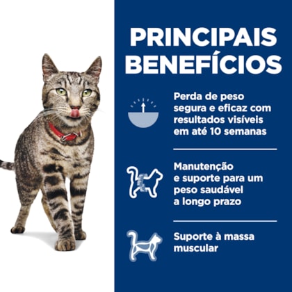 image_3b00b0ae-fff5-46d1-8160-f90424feb5f5