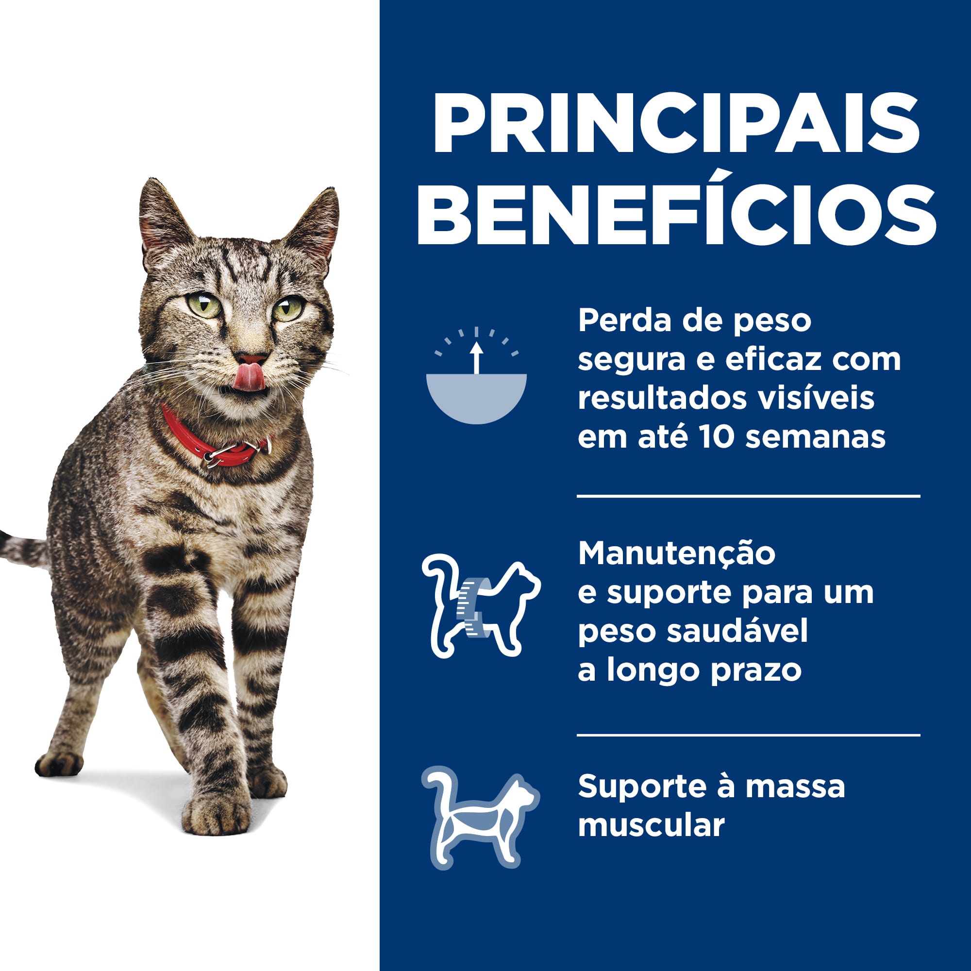 image_4ab7d6cc-bc0e-4701-9bbc-c65e9e1fe4d8