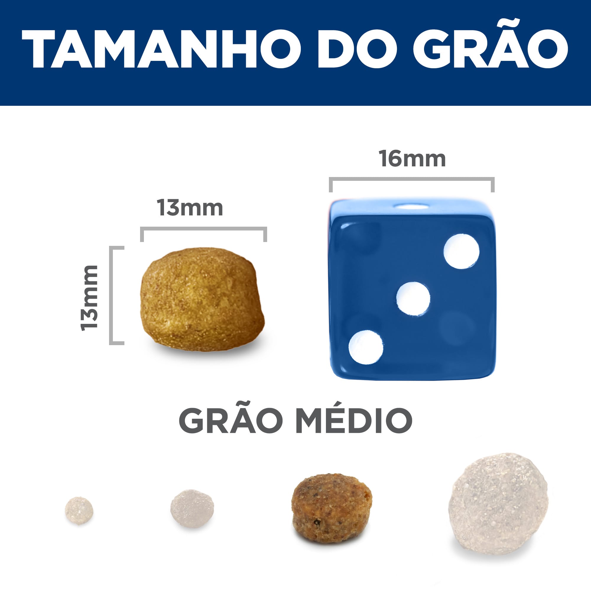 image_4072a318-e11c-4085-988f-db026f359d44