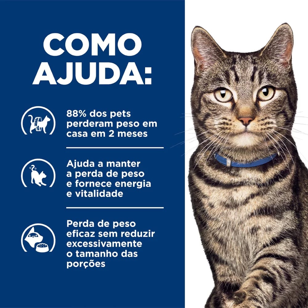 image_338fcf06-7111-43a3-8382-e88c033fad20