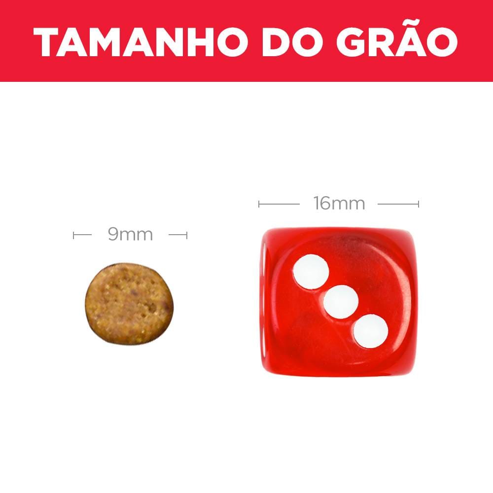 image_3fc48987-ff0b-4b97-be2b-f5db41f3b9ce