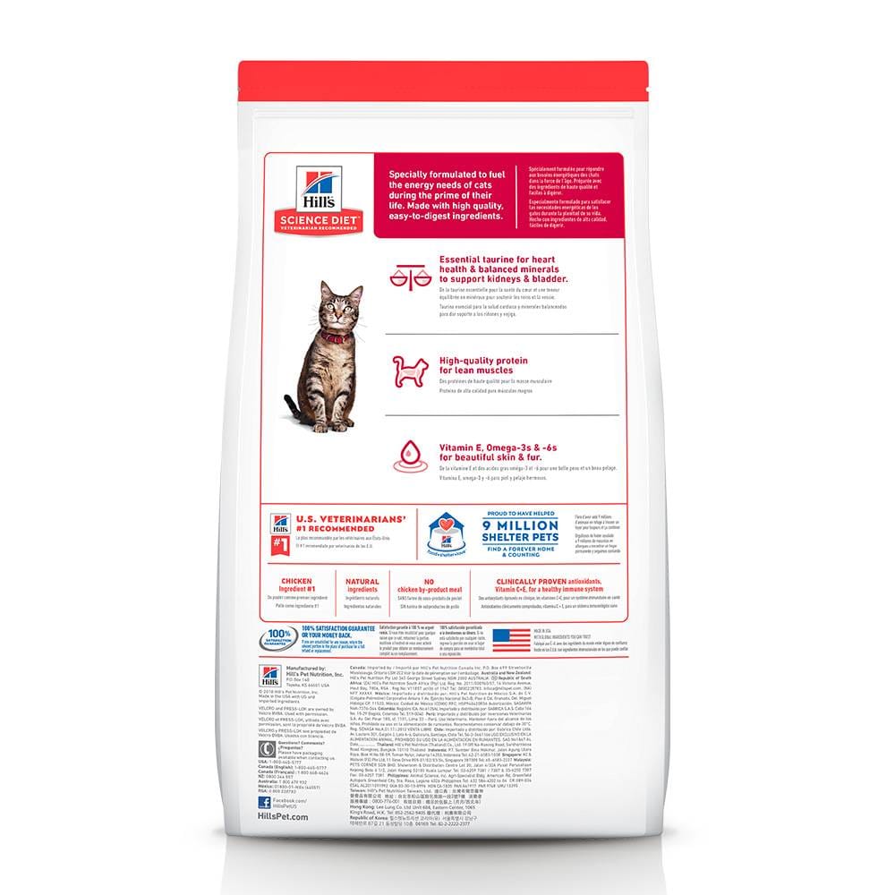 image_a9a1938d-3625-46e3-951d-69a07f55c68a