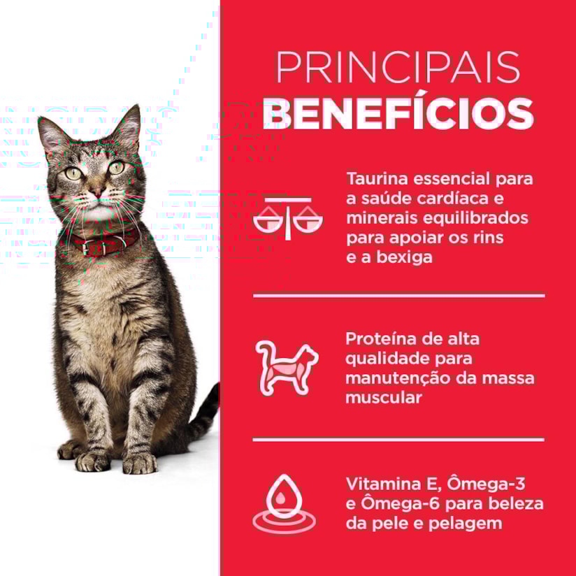 Product main image - fc0e3d7a-4507-47bb-866c-dd7a2573319b