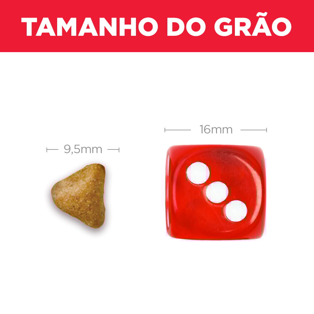 image_b29ab1b1-110b-478a-8947-c890e7a38ea9