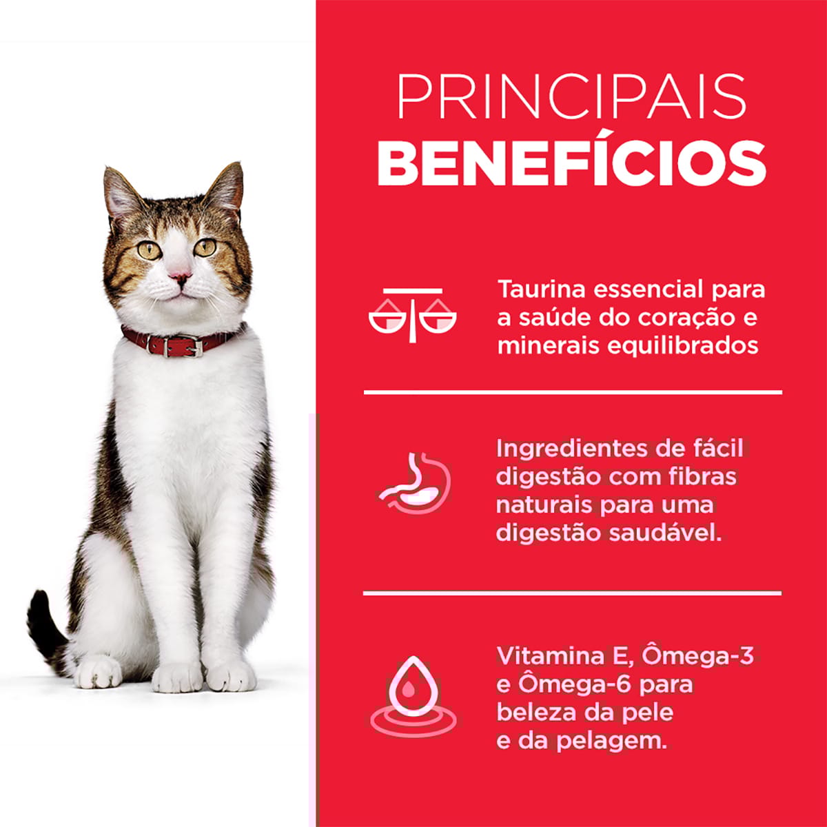 image_2b344103-2112-4cda-811e-6b98317c9050