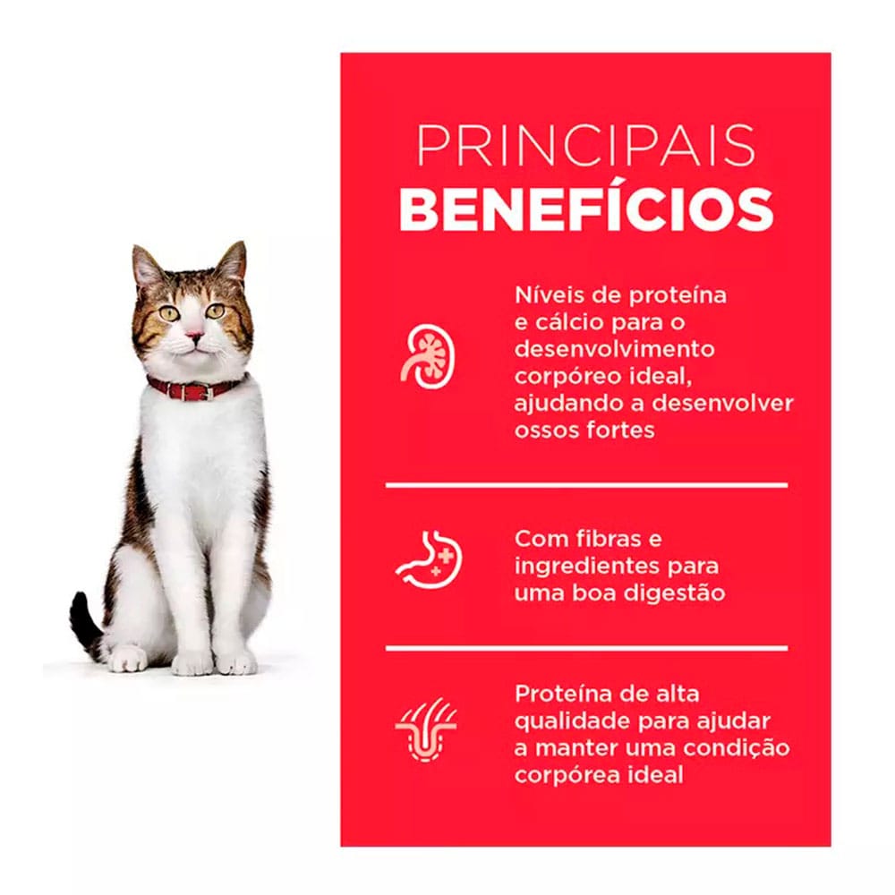 image_ef174838-ab03-4591-b35a-c1564676bddf