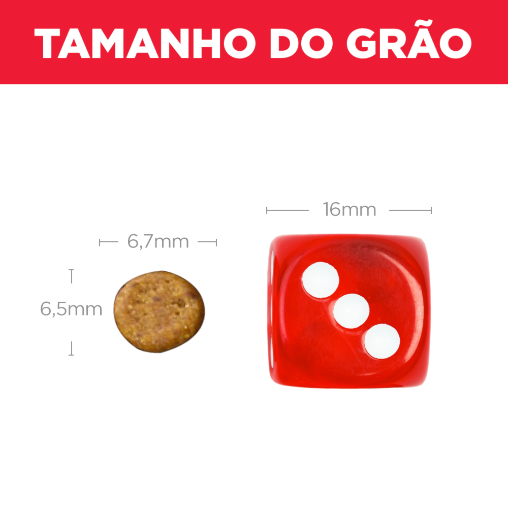 image_1208e2e0-6a66-4a3b-9602-769f0d81f087