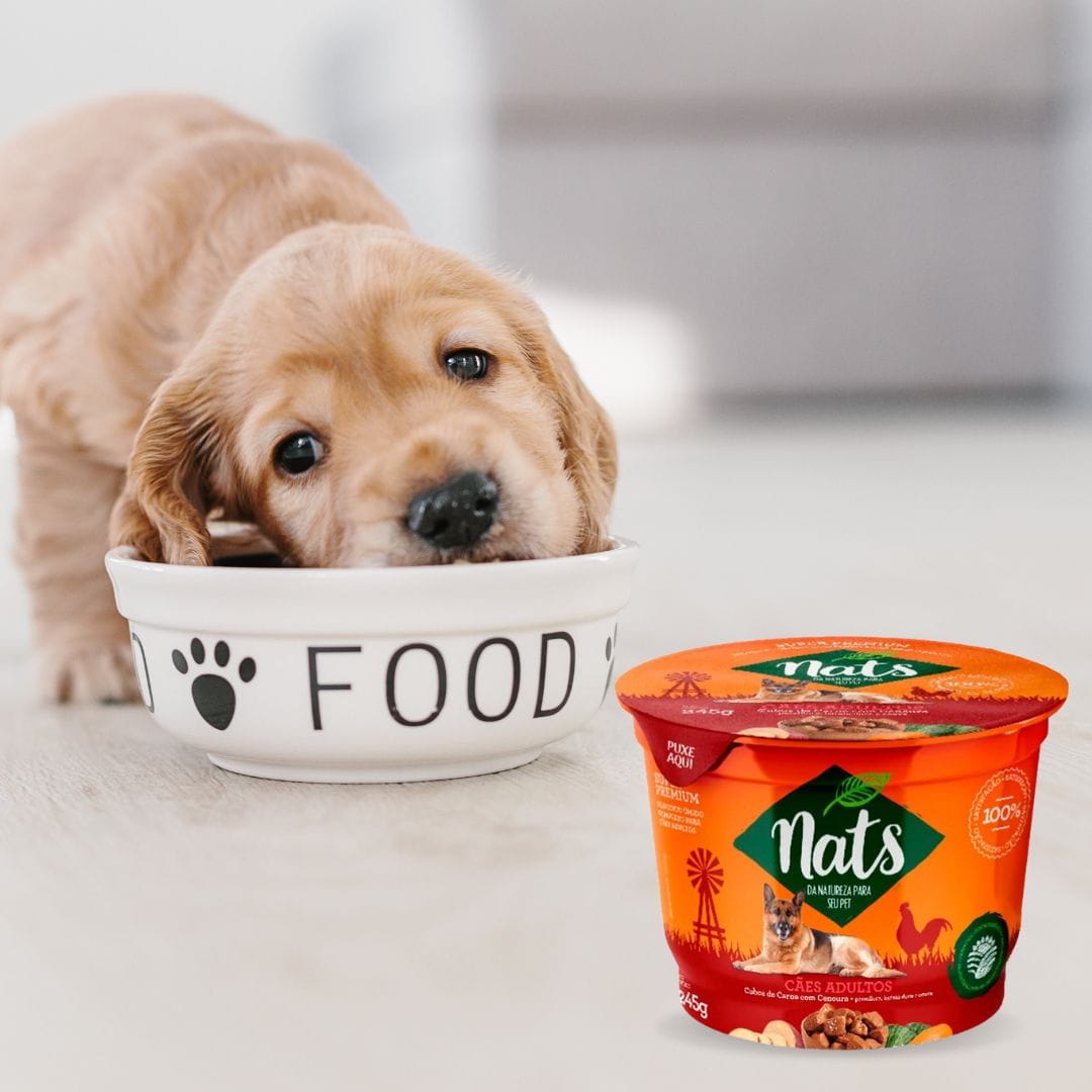 image_e416823b-d902-4b2d-b420-bd39c144a6e3