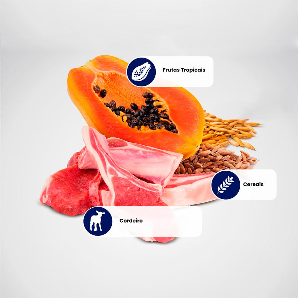 image_c5885b49-7d26-4147-bb9b-3d7bd1c074a9