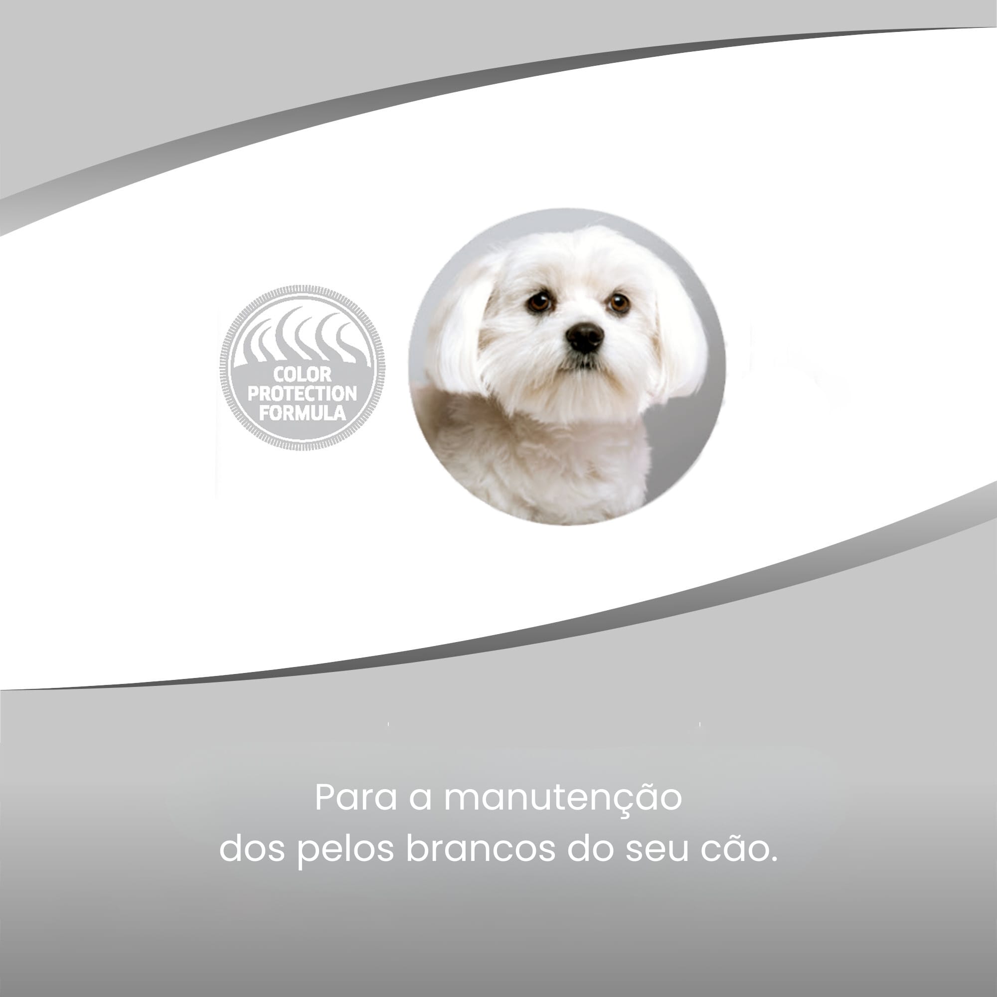 image_cfd82006-1649-4abe-8a01-b0108d40aedb