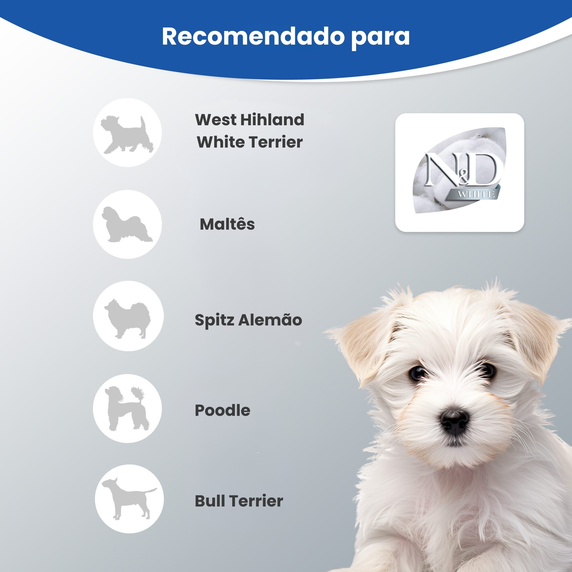 image_02af93e6-2023-453e-9d9b-bcfb8a78fdb2