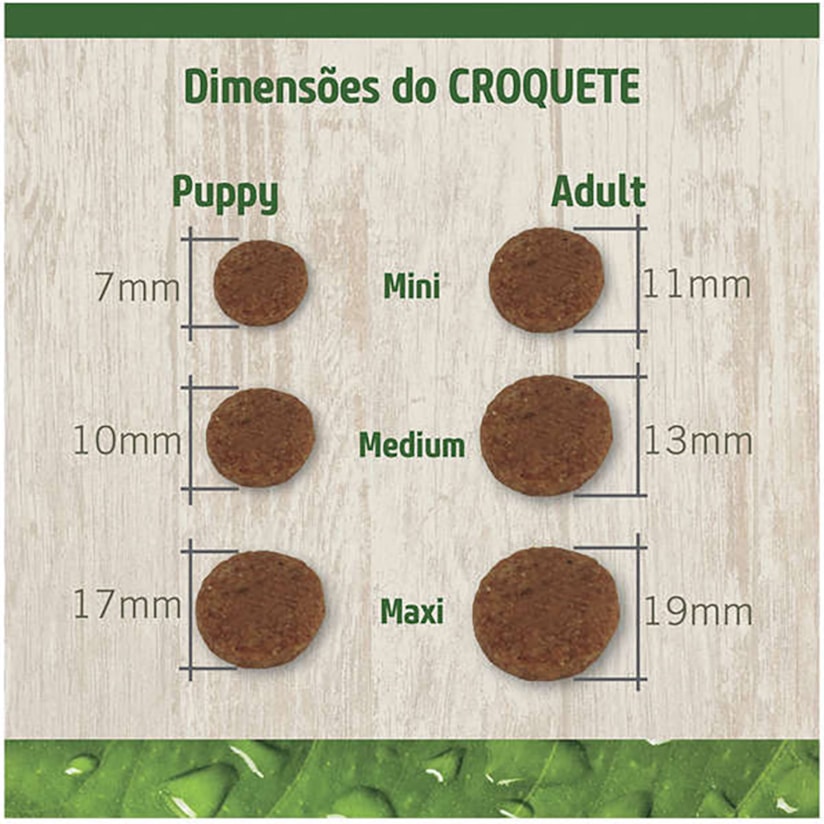 Product main image - 6ce8cdc5-0064-4dc6-90a4-86409438e306