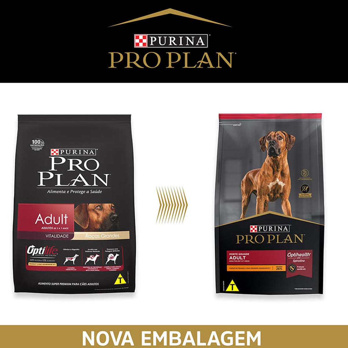 image_4d84dc32-5a7d-486a-9277-3bae91f9b37f