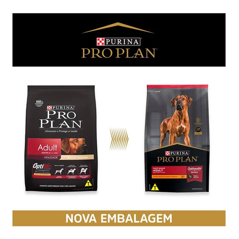 image_c8fafa76-2801-4a9f-97b2-ecf857bf1107