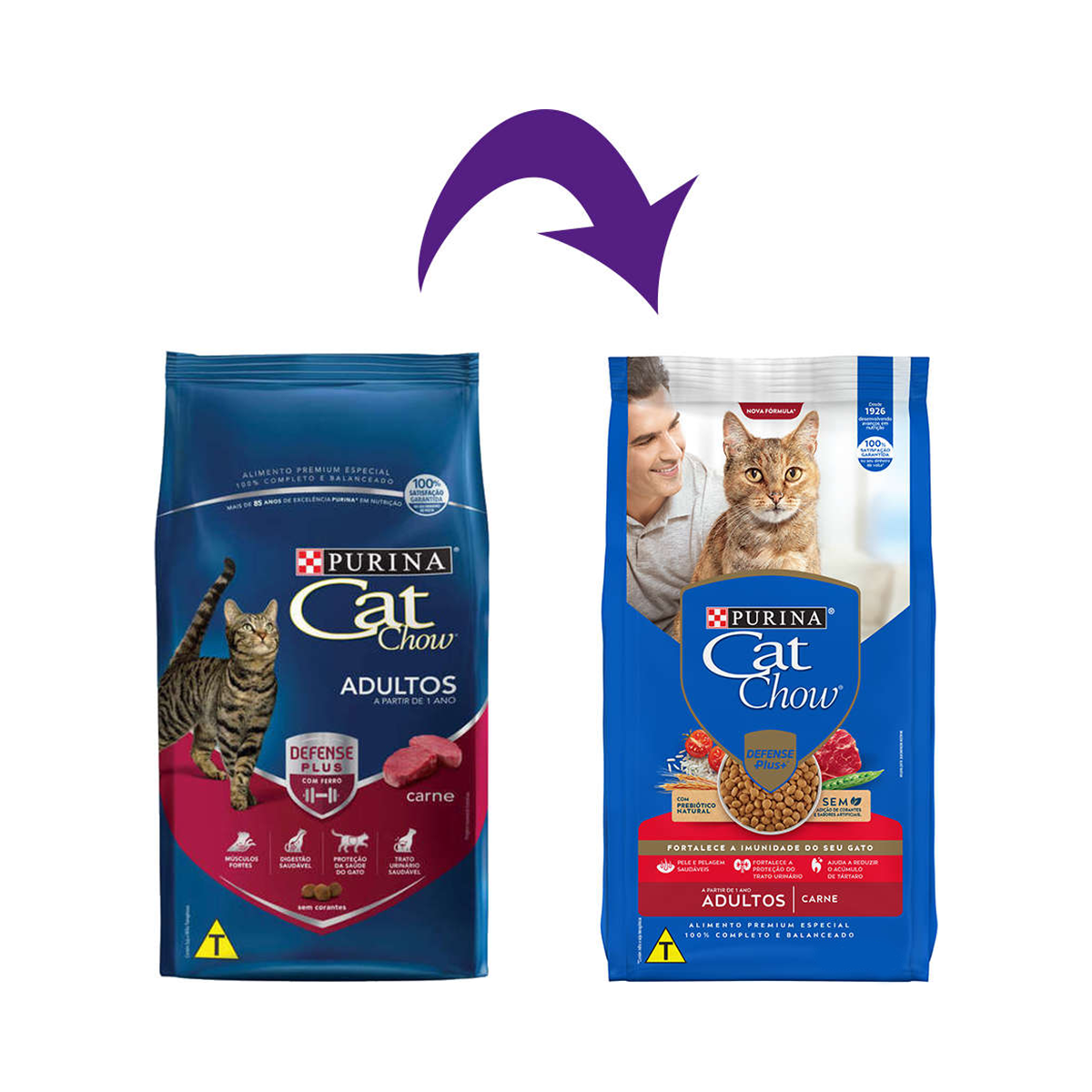 image_a5271843-d607-4fa3-b87f-06303d246cc2