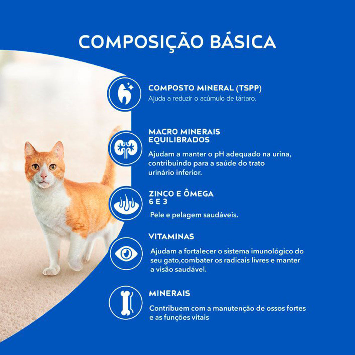 image_6b0493a0-c78d-4b74-95c5-cec131da9c00