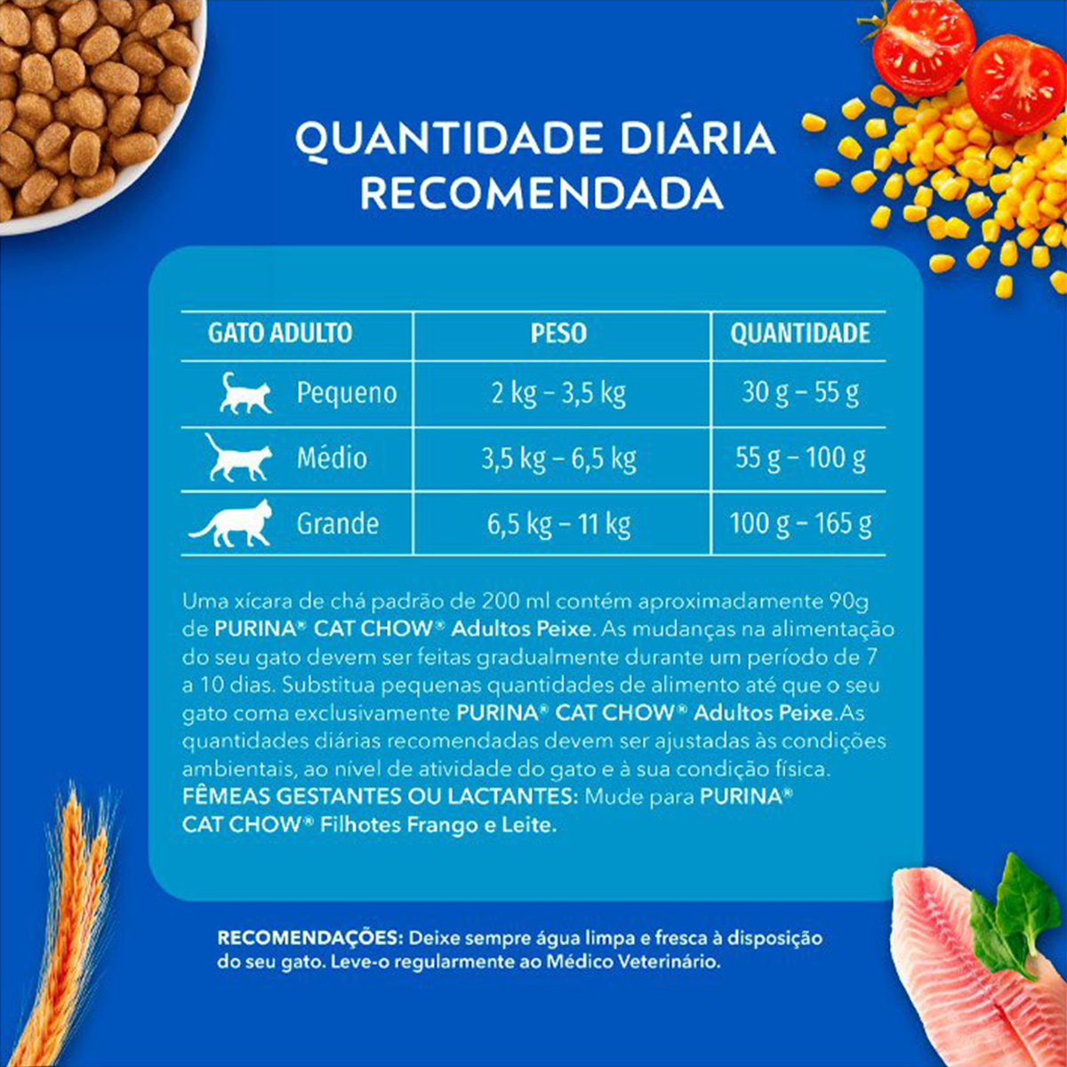 image_f47e2278-a0d0-4444-babd-73688e4a9ee4