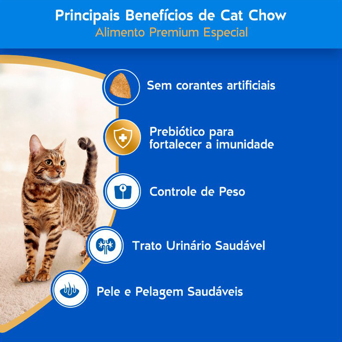 image_6fb85925-5ce4-4b05-a5a8-63acf127ff6b