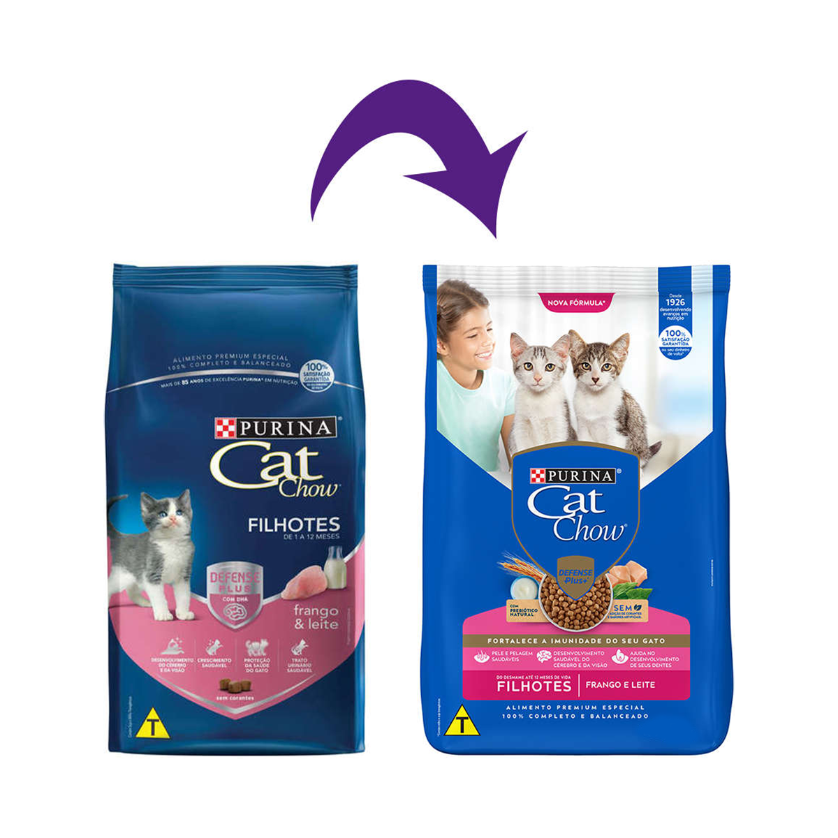 image_56bb3b13-bce2-4355-b5ec-c54f8b435040