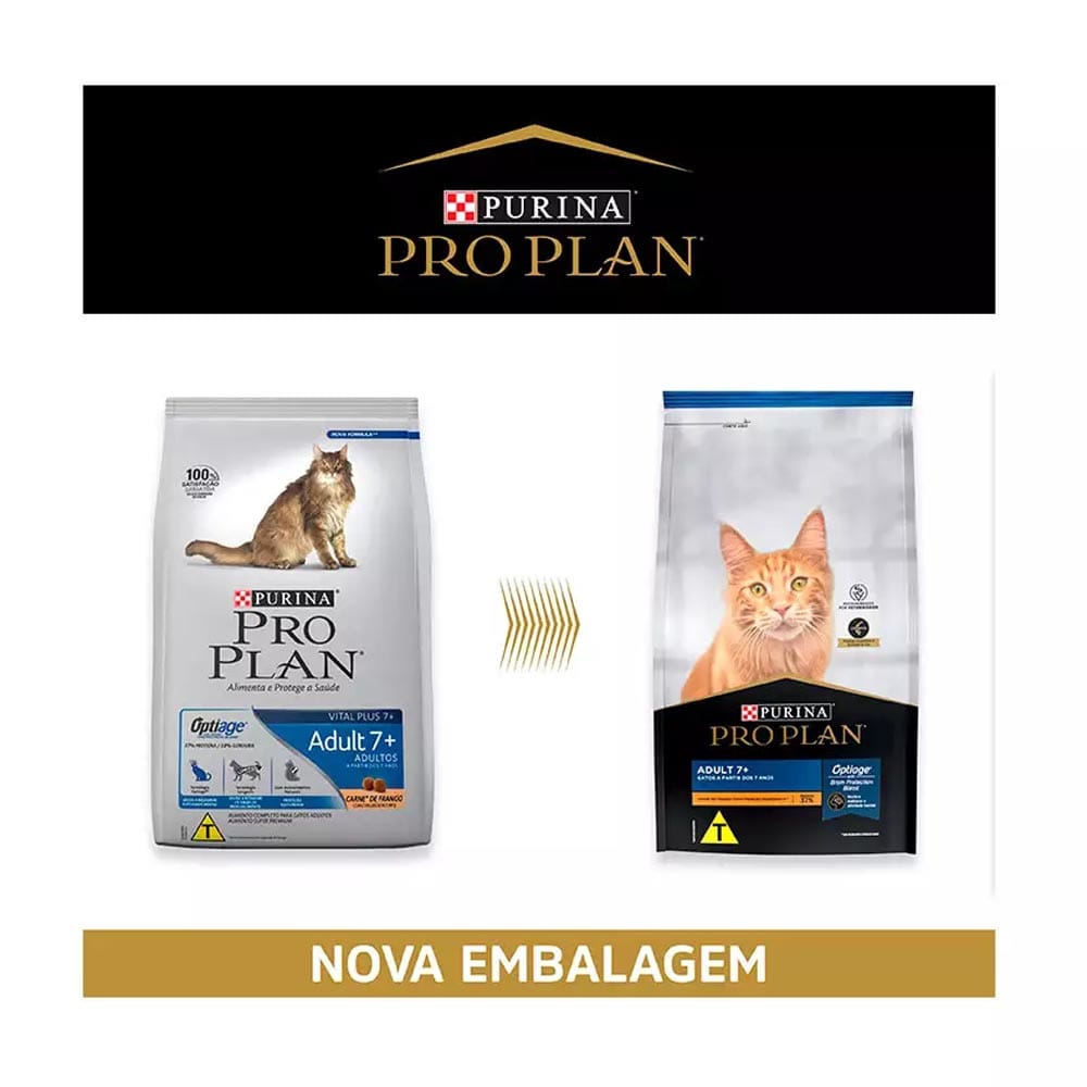 image_f6008967-12e2-4e93-9cfe-8e512764a69e