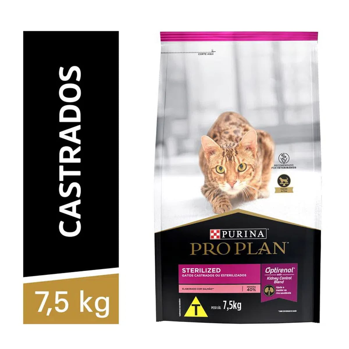 image_32f62a41-c3c5-46c2-8a2e-da9819a96faf