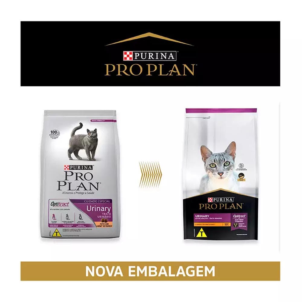 image_1ec337fa-fe2d-46d0-97b0-48dc12947a31