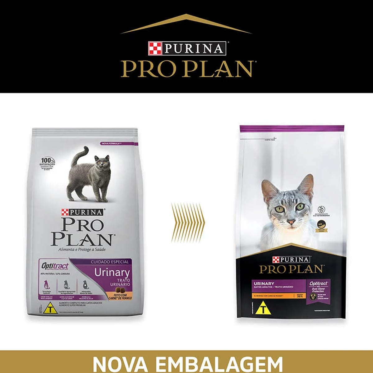 image_7e72fc7b-4df4-42e5-8a9f-eec54c6af574