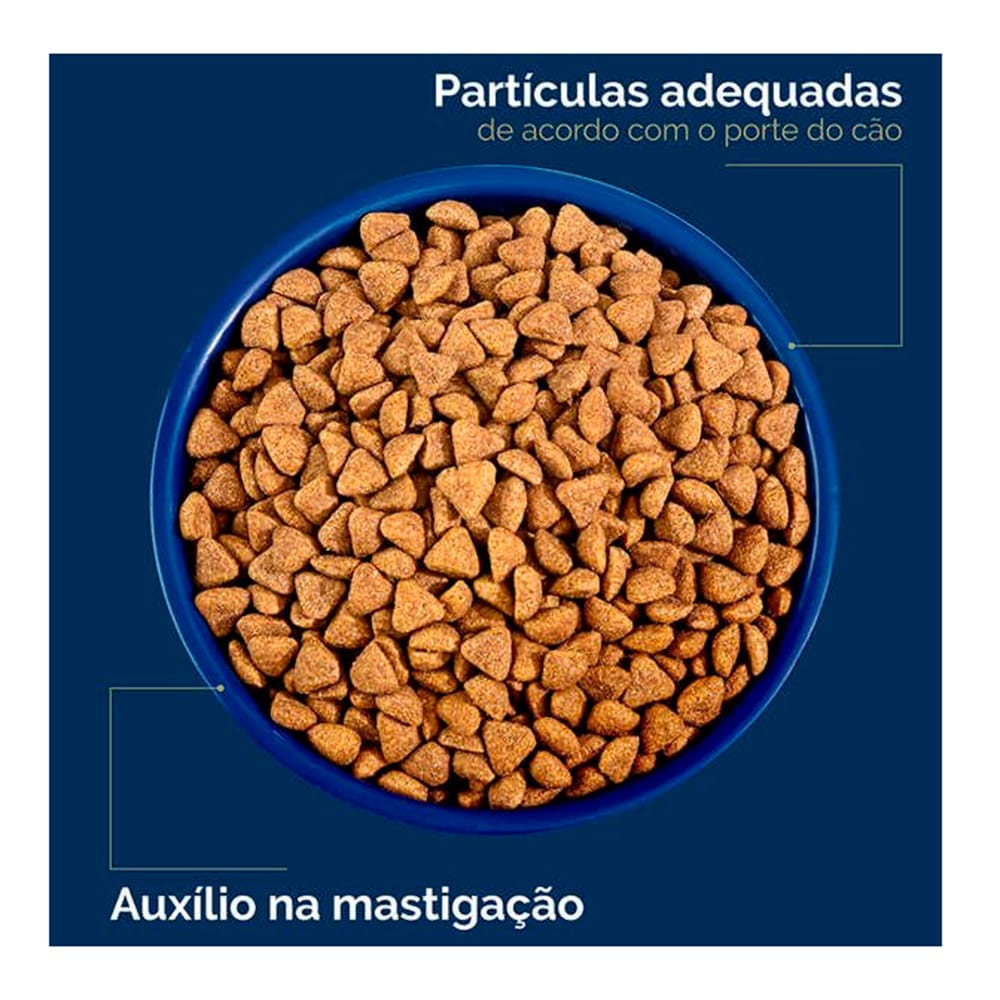 image_baad6333-ff9c-4613-a1df-e6d24ac086d2