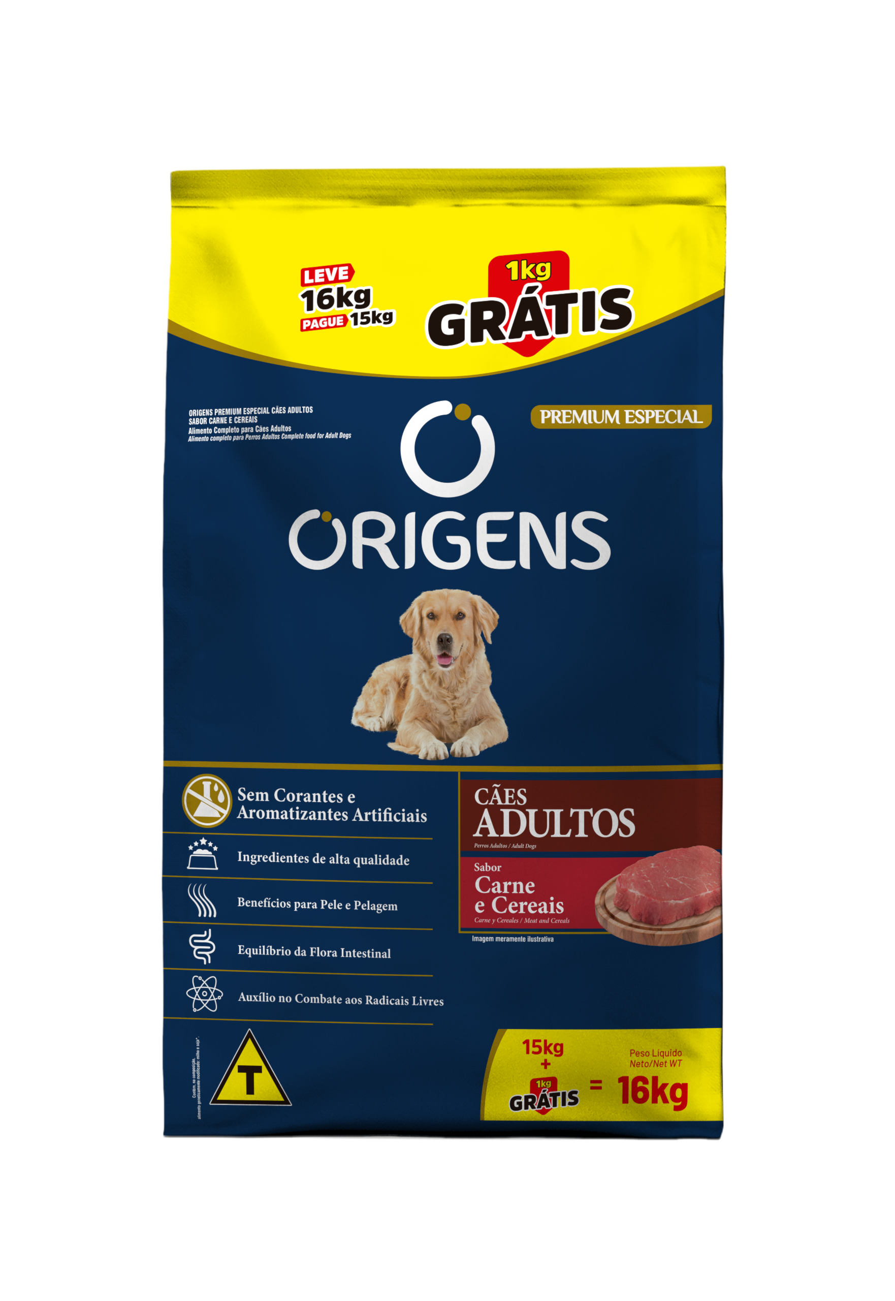 image_bd1b6a5f-1eec-40a8-9576-03b4a5a2577d