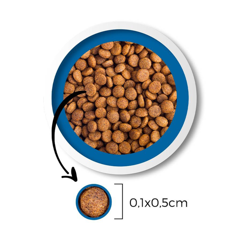 Product main image - 0a916ac8-0e9d-4365-b321-989ae8fb2e37