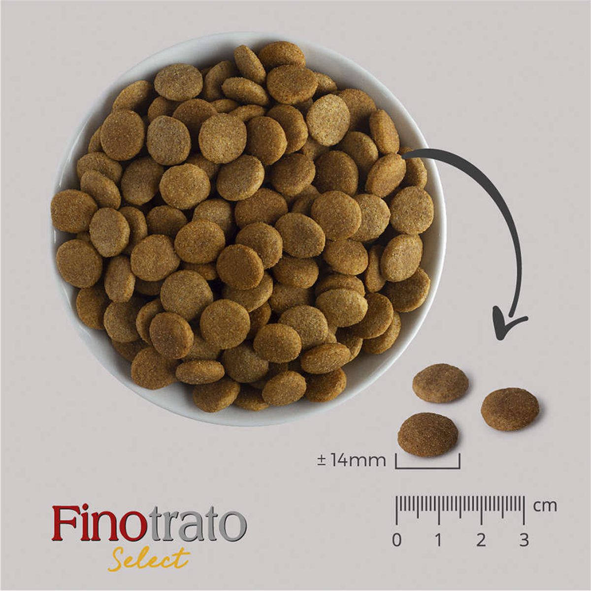 image_e33ed8e8-5c4a-4e4d-8127-956356e66fcd