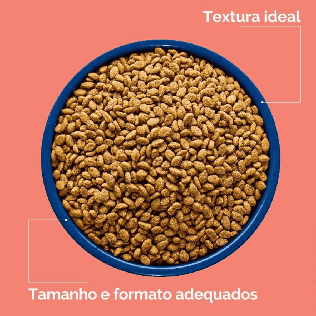 image_efb8a9ad-9e50-49fc-a76a-65b207294b3f