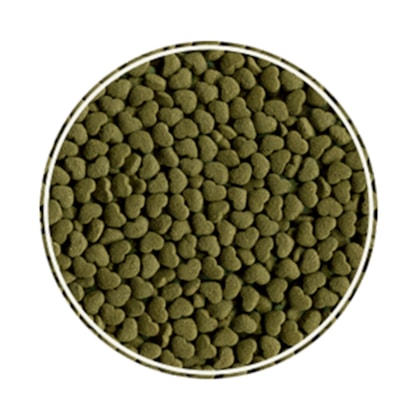 Product main image - b2ff7393-eee0-49d4-ac9a-ff455b3e148a