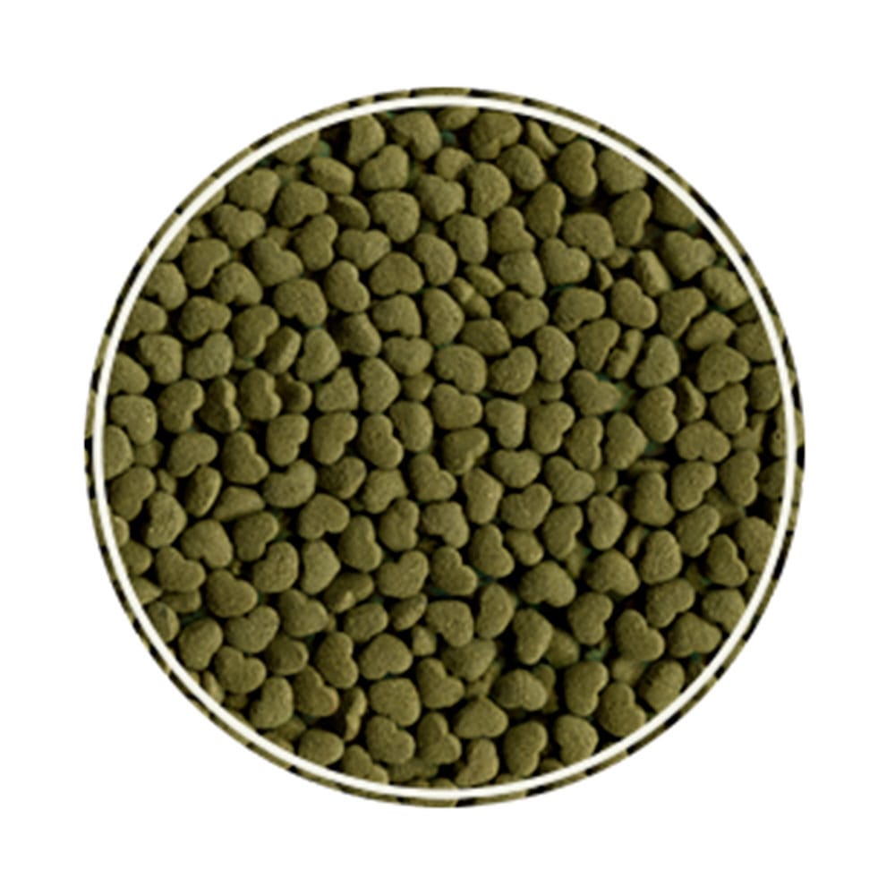 image_bbd5579d-ec9d-4d08-bf18-c6266811eef6