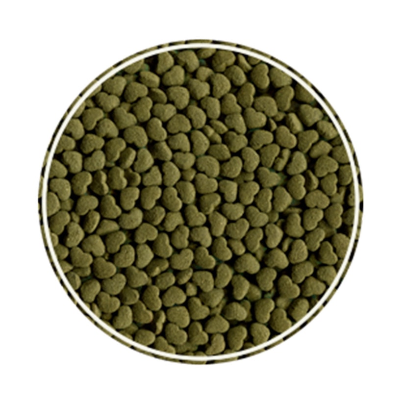 Product main image - 4c4b6bde-2a99-4f1b-822b-1c2a649e197b